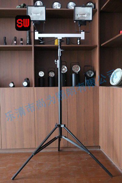 SW2930ΪЯ