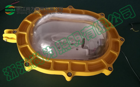 尚为SW8100内场强光防爆泛光灯_70W100W150W 尚为SW8100内场强光防爆泛光灯_70W100W150W