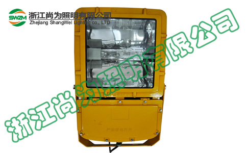 SW8110 SW8110