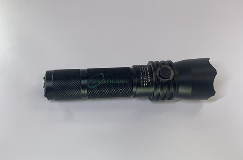 ΪSW2101