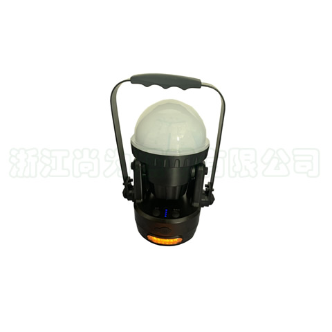 SZSW2420LED